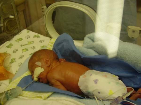 FB_IMG_1679428097565