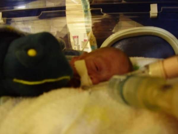 FB_IMG_1679428103690