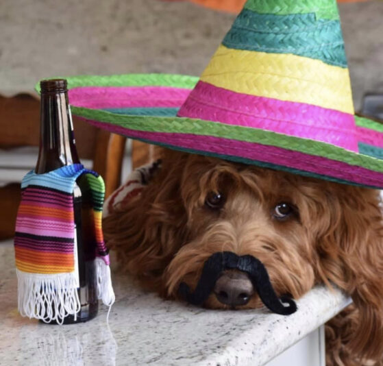 E015938E-DAAC-4A3C-B98C-7F1E36C6A9F0