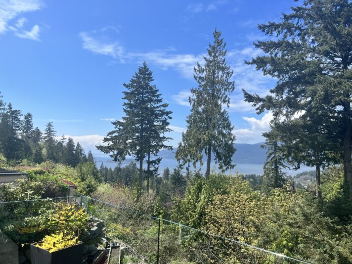 1B92E006-254A-4F80-8D34-563A24C70992