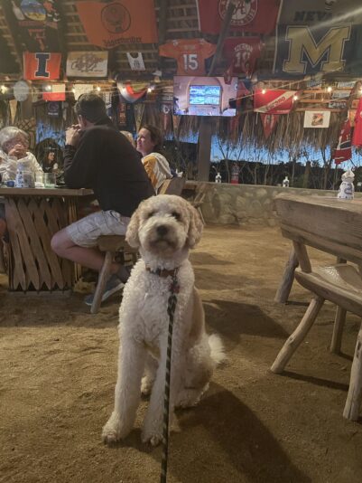 7F427D9B-57A9-4B2B-8ACE-149B27F3A515