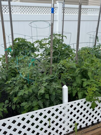 46FEAFA8-C902-49D4-A0C0-55923D0FC1CA