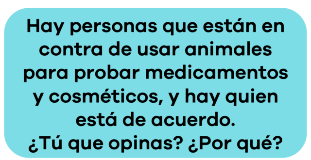 Captura de pantalla 2024-06-19 a la(s) 11.43.33 a.m.