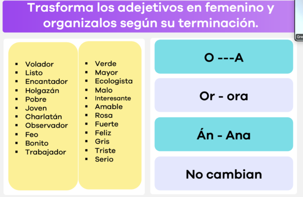 Captura de pantalla 2024-07-22 a la(s) 10.50.35 a.m.