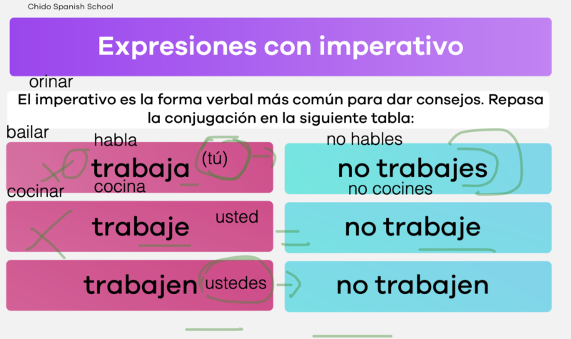 Captura de pantalla 2024-11-11 a la(s) 1.54.27 p.m.
