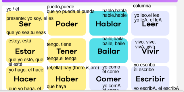 Captura de pantalla 2025-03-06 165643