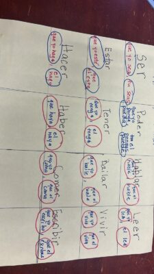 WhatsApp Image 2025-03-11 at 14.17.25