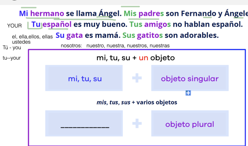 Captura de pantalla 2025-04-04 a la(s) 11.45.37 a.m.