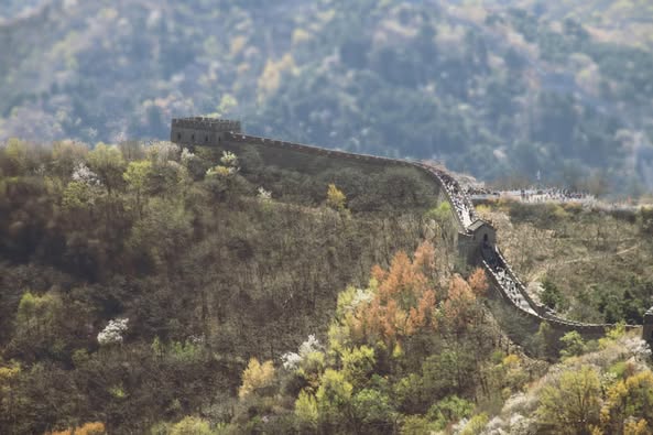 57165965_10156461331135805_8498606407417856_n