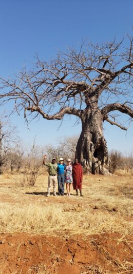 5d81cf6e-87a4-4e9d-9c7d-609c81e1b6ee