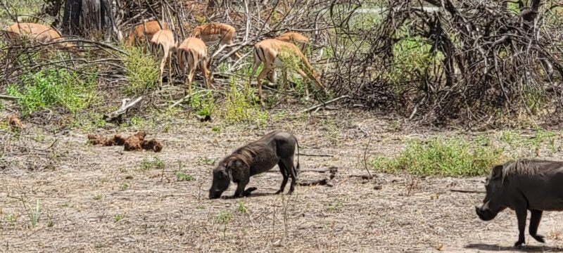 e1843c69-aa55-4414-97c0-4fc0cd5119f7