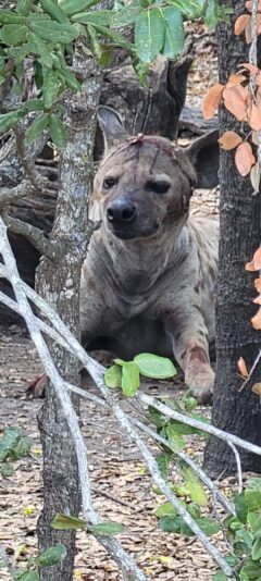 bcb7012e-e34b-4484-bddd-6f6aa85c389c