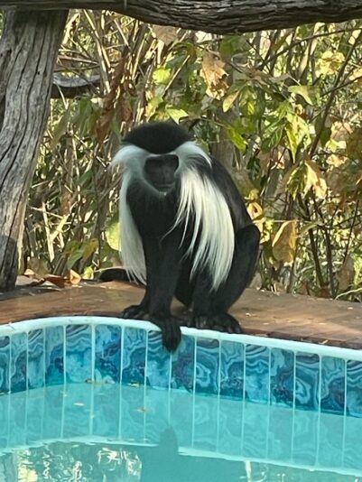 5d9fde6f-f12f-4ef2-b9e9-6dc5e6fe66d9