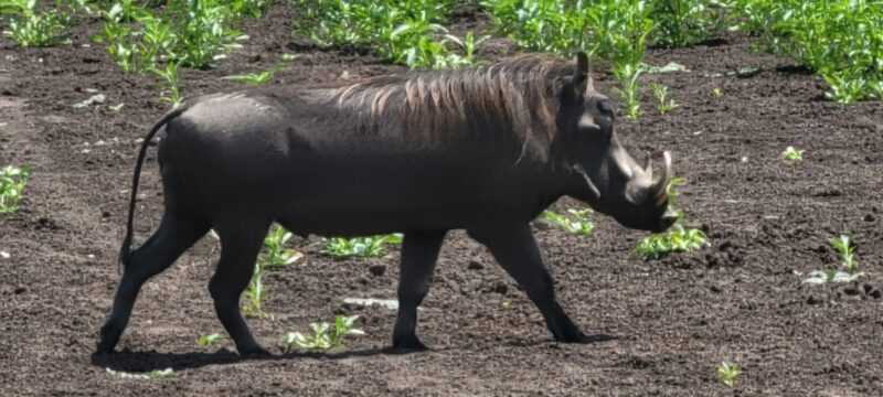 41e6c357-571b-4ea1-af00-52d10b3396ed