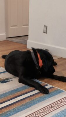 PXL_20240622_022956249