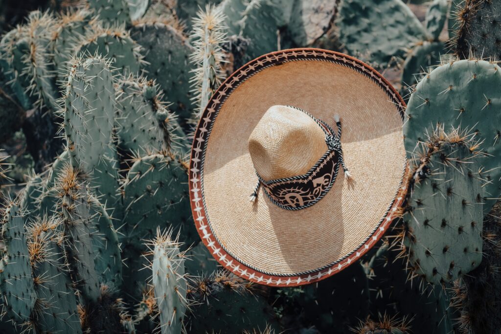 How to survive in Mexico on your first 10 days 1 pexels juanjo menta 8151340