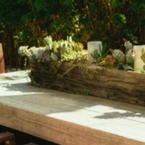 Profile photo of Josie