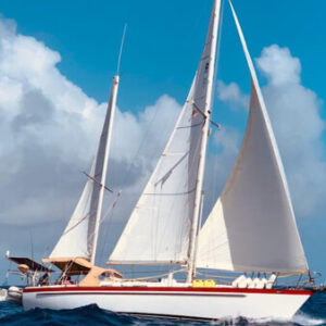 Profile photo of grady3rd